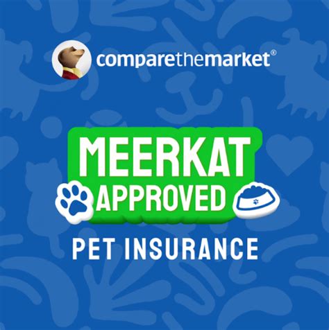 compare the market pet insurance.